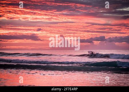 Coucher de soleil rose vif sur les vagues douces d'une plage À Hawaï Banque D'Images