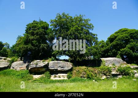 Mount Edgcumbe Rocks sur Tunbridge Wells Common, Royal Tunbridge Wells, Kent, Angleterre Banque D'Images