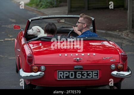 GRANDE-BRETAGNE / Angleterre / couple avec chien conduite dans voiture classique cabriolet .Triumph Spitfire Mark III 1967, Banque D'Images