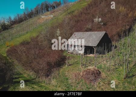 Chalet isolé se cachant entre les champs de champs de la région de dolenjska en Slovénie par une journée ensoleillée. Cottage en mauvais état. Banque D'Images