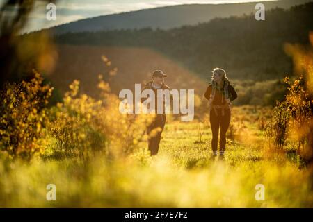 Couple randonnée au Mont Rogers en Virginie. Banque D'Images