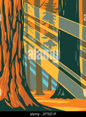 Affiche WPA art de la lumière du soleil à travers les séquoias géants du parc national de Sequoia situé dans la Sierra Nevada, Californie fait en travaux projet adminis Illustration de Vecteur