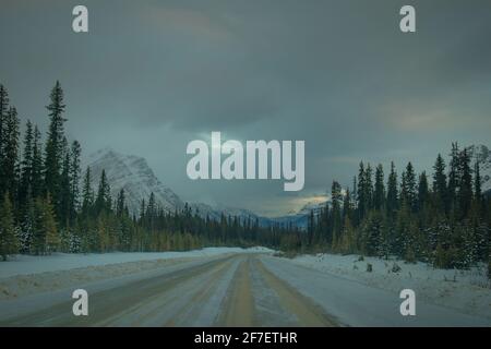 Voyage en voiture à travers les montagnes canadiennes. Profitez de la vue sur la route de Lake Louise à Jasper en hiver. Banque D'Images