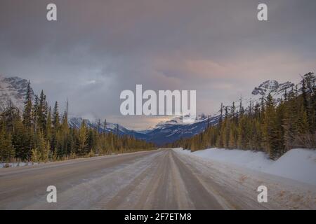 Voyage en voiture à travers les montagnes canadiennes colorées. Profitez de la vue sur la route de Lake Louise à Jasper en hiver. Banque D'Images