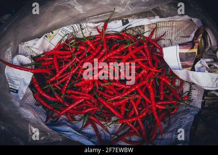 Poivrons rouges sur un marché enveloppés dans un journal. Banque D'Images