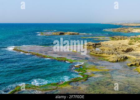 Vue sur la plage, les criques et les falaises de grès de la plage de Dor, dans le nord d'Israël Banque D'Images