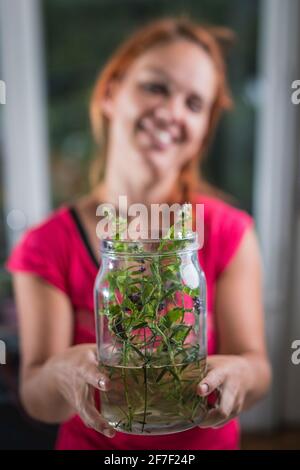 Différentes herbes ou plantes vertes dans un pot transparent en verre avec un peu d'eau, tenu par une femme souriant dans un environnement intérieur. Concept de ma domestique Banque D'Images