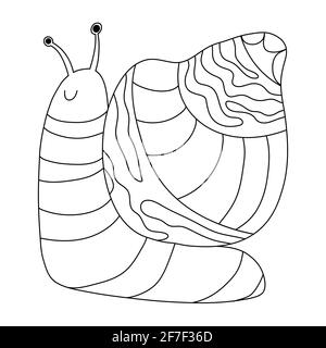 Livre de coloriage d'escargot. Illustration de Vecteur