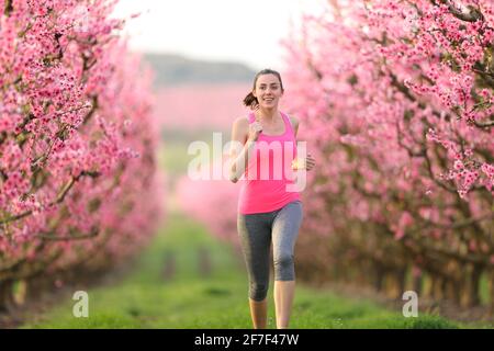 Vue de face d'un jogging heureux en direction de l'appareil photo un champ de fleurs roses Banque D'Images