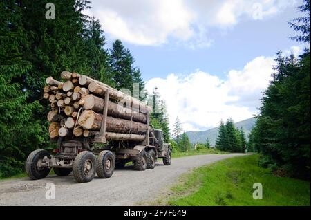 Un camion de bois chargé transporte les grumes dans la forêt. Concept de transport du bois. Le concept de problème environnemental et la déforestation dans les montagnes Banque D'Images