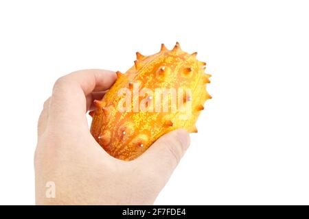 Kiwano melon ou Melon à cornes isolé sur fond blanc. Un seul concombre corné africain dans la main mâle Banque D'Images