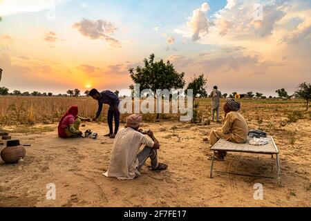 la famille des agriculteurs indiens s'assoit au milieu, prenant une pause dans le champ pendant la récolte de crops.beautiful nuages en arrière-plan. Banque D'Images