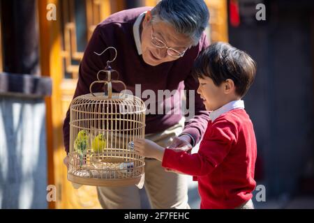 Grand-père et petit-fils heureux avec des oiseaux de compagnie dans la cage Banque D'Images