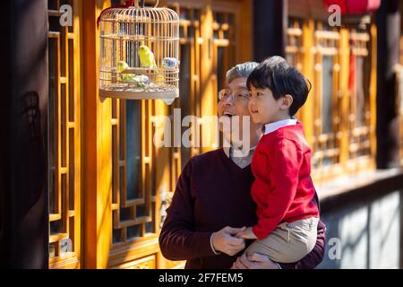 Grand-père et petit-fils heureux avec des oiseaux de compagnie dans la cage Banque D'Images