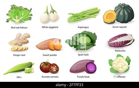 Légumes avec jeu de titres de légende, illustration vectorielle plate. Illustration de Vecteur