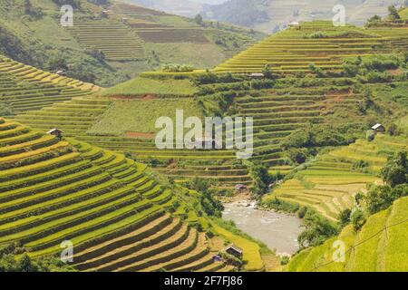 Terrasses de riz à Mu Cang Chai, Vietnam, Indochine, Asie du Sud-est, Asie Banque D'Images