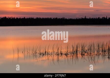 Lac Toras-Sieppi au coucher du soleil, Torassieppi, Muonio, Laponie, Finlande, Europe Banque D'Images