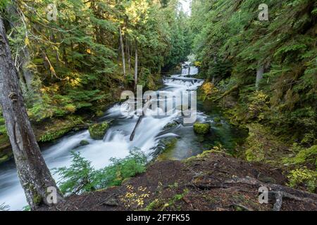 Chutes de Sahalie en automne, pont McKenzie, comté de Lane, Oregon, États-Unis d'Amérique, Amérique du Nord Banque D'Images