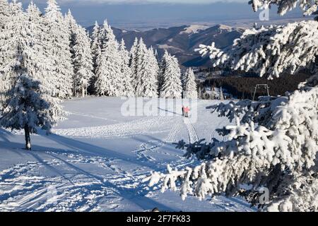 Beau paysage d'hiver dans les montagnes de Vladeasa, Transylvanie, Roumanie, Europe Banque D'Images