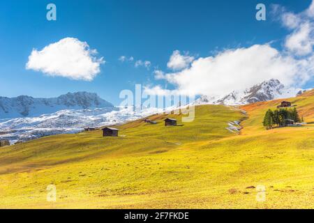 Huttes traditionnelles dans le pâturage en automne, Arosa, canton Graubunden, Suisse, Europe Banque D'Images