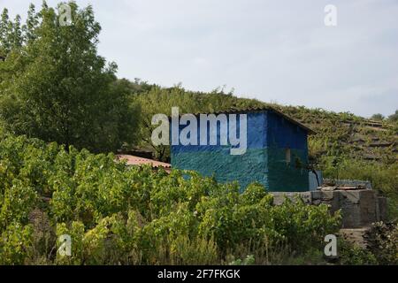 Jardin Shed a la France - les petits vignobles de la famille Roussillon ont des cabas pour le stockage d'équipements de récolte et de soin des vignobles. Banque D'Images