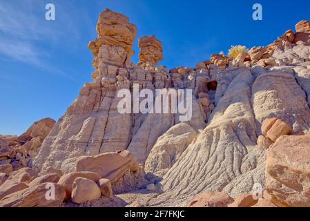 Des zoos géants dans le terrain de jeu Devil's Playground au parc national de Petrified Forest, Arizona, États-Unis d'Amérique, Amérique du Nord Banque D'Images