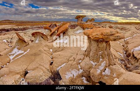 Les formations du château de sable en bordure du bassin rouge dans le parc national de la forêt pétrifiée, Arizona, États-Unis d'Amérique, Amérique du Nord Banque D'Images