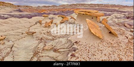 Les formations du château de sable en bordure du bassin rouge dans le parc national de la forêt pétrifiée, Arizona, États-Unis d'Amérique, Amérique du Nord Banque D'Images