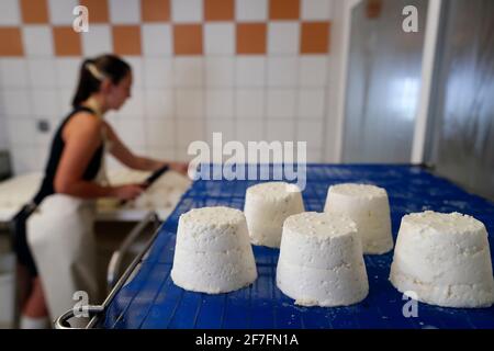 Fromagerie de chèvre sur ferme traditionnelle dans les Alpes françaises, haute-Savoie, France, Europe Banque D'Images