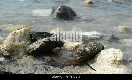 gros plan de petites vagues sur des rochers sur le blanc plage de sable Banque D'Images