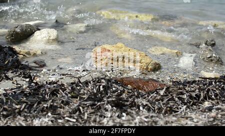 gros plan de petites vagues sur des rochers sur le blanc plage de sable Banque D'Images