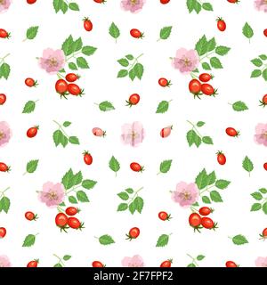 Motif brillant sans couture avec hanches roses, baies rouges, feuilles et fleurs. Imprimé été mignon pour le papier d'emballage, le textile et le motif Illustration de Vecteur