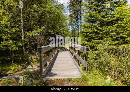 Petit pont en bois à côté de la tour en bois sur le sentier de montagne Dans les montagnes Giant Banque D'Images