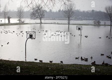 Rhin Flood, a inondé le terrain de basket-ball sur les rives du Rhin près de Cologne en conduisant de la neige Banque D'Images