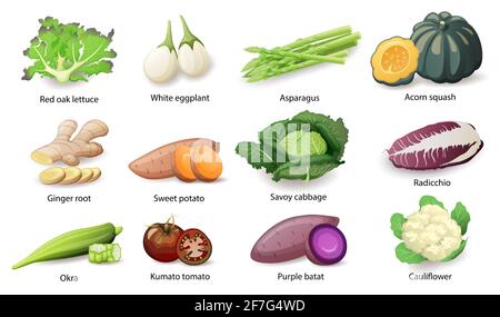 Légumes avec jeu de titres de légende, illustration vectorielle plate. Illustration de Vecteur