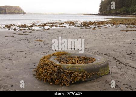 Un pneu de voiture délavé, recouvert d'algues Fucus, se trouve sur une plage reculée de l'île de Skye, en Écosse, au Royaume-Uni. Banque D'Images