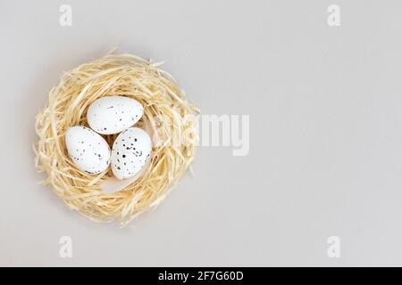 Oeufs de Pâques dans le nid, isolés sur fond gris. Vue de dessus. Pose à plat. Concept de Pâques. Banque D'Images