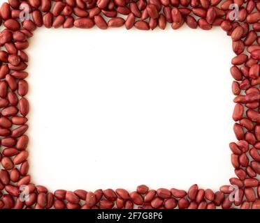 Cadre en Peanuts isolé sur fond blanc. Composition avec cacahuètes et espace pour le texte, vue de dessus Banque D'Images