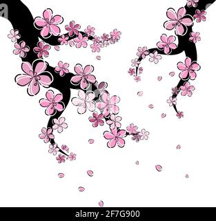 Une branche de sakura aux pétales de chute. Illustration vectorielle Illustration de Vecteur
