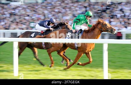 COURSE À ASCOT 27/9/2008. QUEEN ELIZABETH 11 PIQUETS. JIMMY FORTUNE SUR RAVEN PASS GAGNANT DE HENRYTHENAVIGATOR. PHOTO DAVID ASHDOWN Banque D'Images