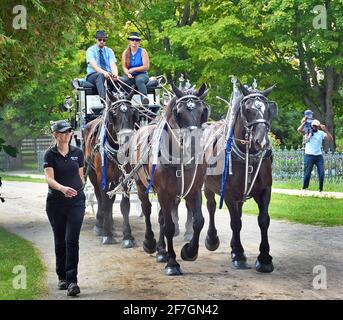 Upper Canada Village. Upper Canada Village 13740 County Road 2, Morrisburg, ON, K0C 1X0 fondé en 1961, Upper Canada Village est l'un des plus grands sites d'histoire vivante au Canada. Représentant la vie dans un milieu rural canadien anglais au cours de l’année 1866. Plus de quarante bâtiments historiques ont déménagé ici avant l’inondation des « villages perdus » pendant le projet de développement de la voie maritime du Saint-Laurent. Les techniques agricoles traditionnelles sont démontrées par la culture de légumes du patrimoine et l’élevage de races de bétail patrimoniales. Banque D'Images