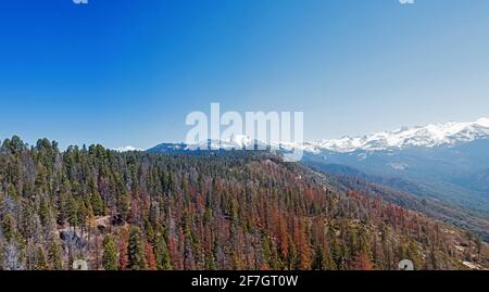 Vue panoramique sur Sequoia et le parc national de Kings Canyon Banque D'Images