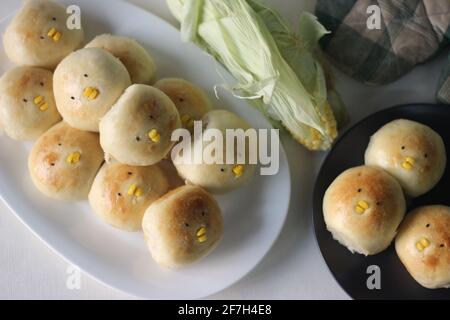 Poussins de pain de Pâques faits maison. Petits pains cuits en forme de poussins dans le cadre de la fête de Pâques. Prise de vue sur fond blanc Banque D'Images