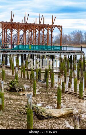 Déconstruction et récupération d'un ancien grenier de l'industrie de la pêche Sur le front de mer de Steveston, en Colombie-Britannique, au Canada Banque D'Images