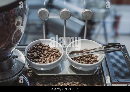 Grains de café dans des bols en céramique blanche. Des grains de café sur un présentoir pour la dégustation. Sélection de grains de café dans une usine de café. Banque D'Images