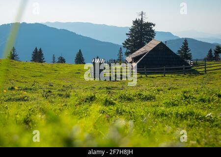 Panorama de maisons ou chalets en bois typiques sur la Velika plateau de planina en Slovénie lors d'une chaude journée ensoleillée d'été ciel bleu clair et vert luxuriant Banque D'Images