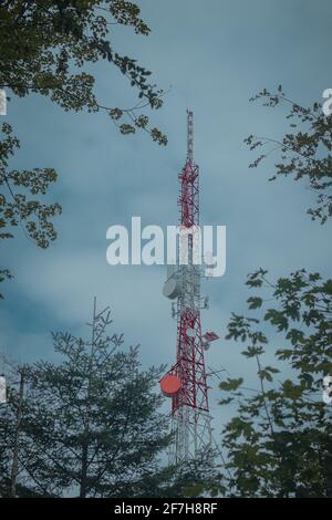 Grand mât d'antenne pour les répéteurs 3G, 4G et 5G au milieu de la forêt ou de la nature. La tehnologie controversée dans la nature sauvage. Vue panoramique. Banque D'Images