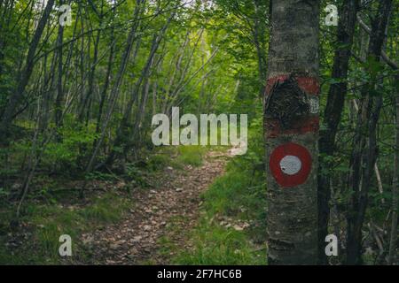 Les randonneurs marquent ou marcacija, cercle panté avec un point sur un arbre ou une pierre, pour révéler le chemin vers le sommet de la colline. Banque D'Images