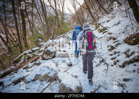 Un groupe de randonneurs monte sur un sentier enneigé. Sentier forestier recouvert de neige et personnes avec des sacs à dos marchant. Banque D'Images