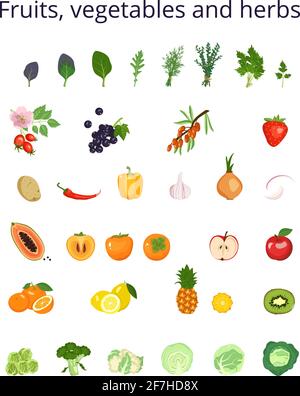 Ensemble d'icônes légumes, fruits et herbes pour la salade. Ingrédients pour les plats végétariens. Un mode de vie sain. Source de vitamine C Illustration de Vecteur